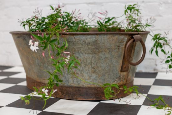 Oval Iron Pot w/handle | Large