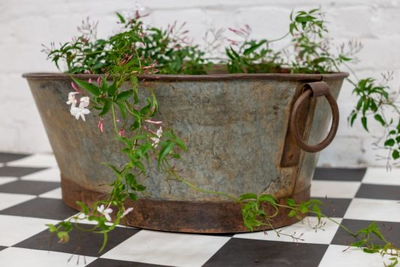 Oval Iron Pot w/handle | Large