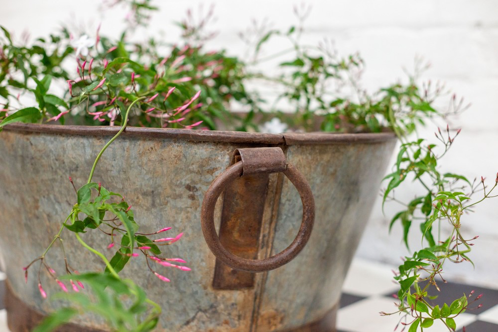 Oval Iron Pot w/handle | Large