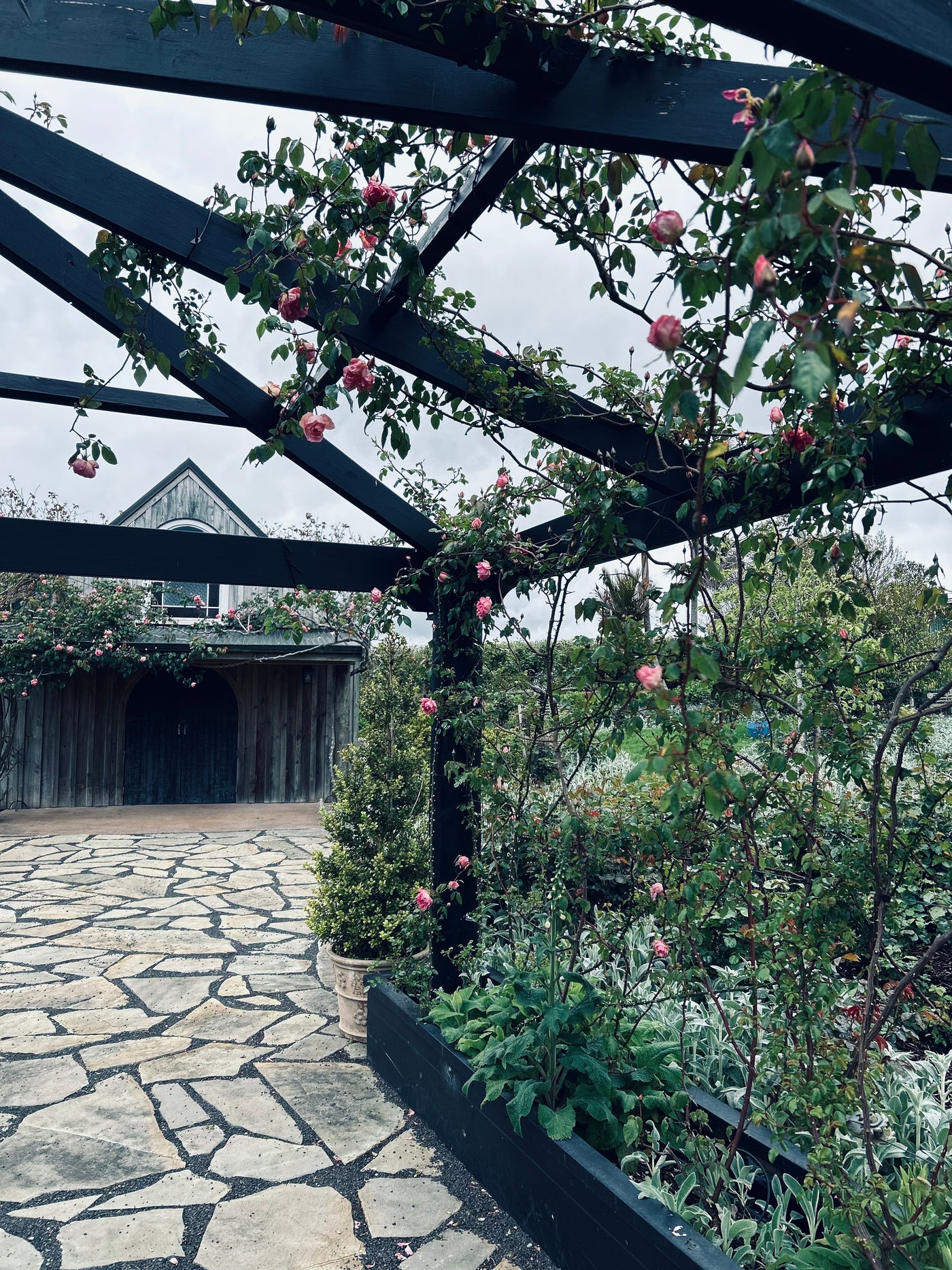 Open Day ~ Garden Walk + Devonshire Tea