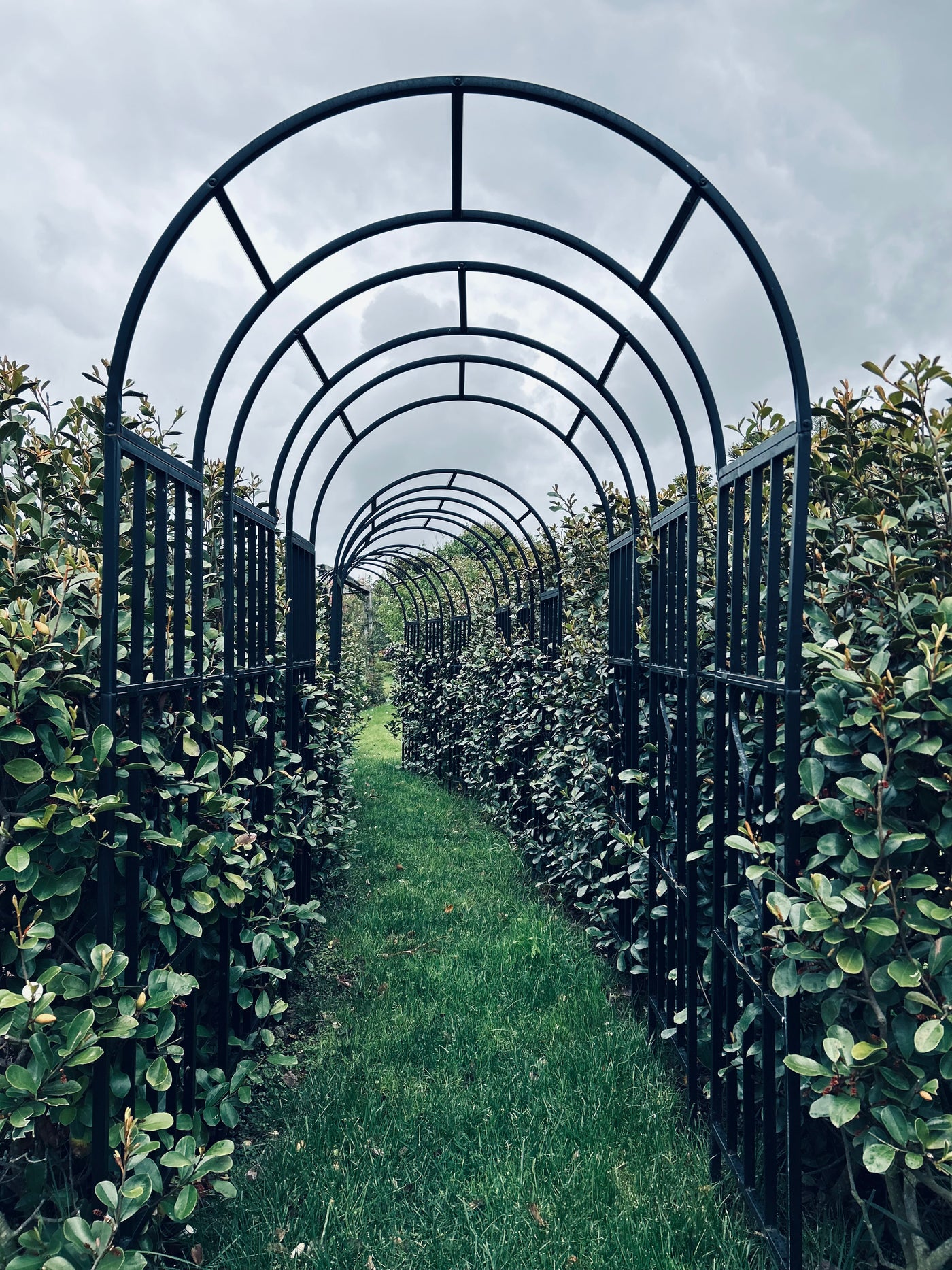 Open Day ~ Garden Walk + Devonshire Tea