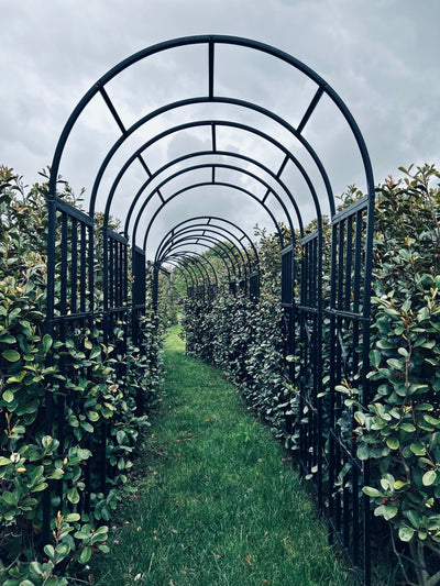 Open Day ~ Garden Walk + Devonshire Tea