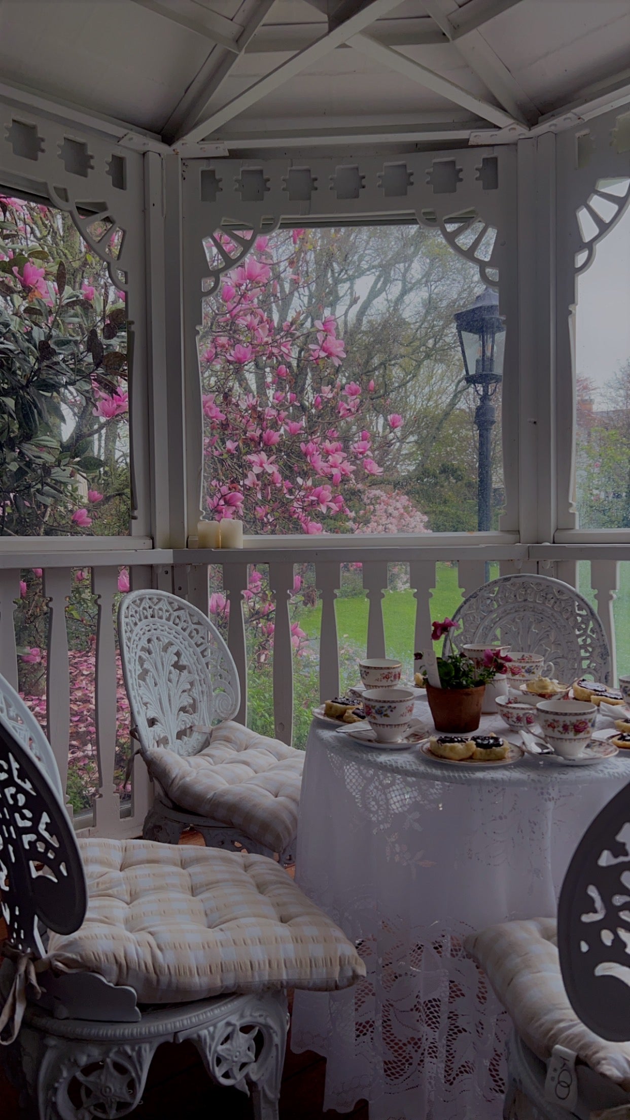 Open Day ~ Garden Walk + Devonshire Tea