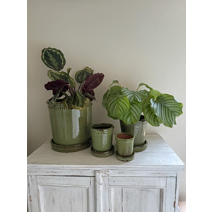 Glazed Flower Pot & Saucer | Green | 9cm