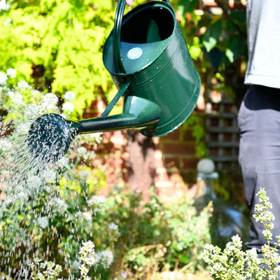 Puriri Lane | 9L Waterfall Watering Can | Burgon & Ball
