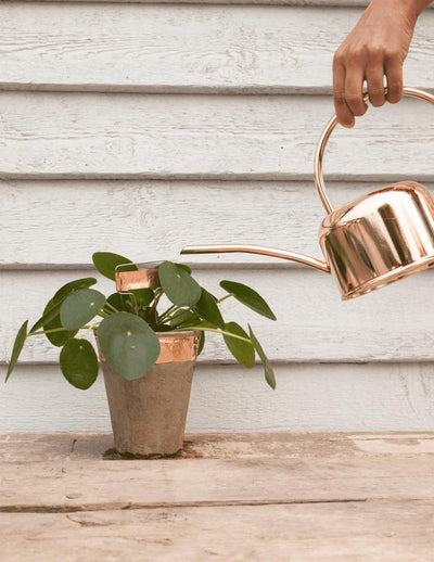 Puriri Lane | Copper Tape | Esschert Design