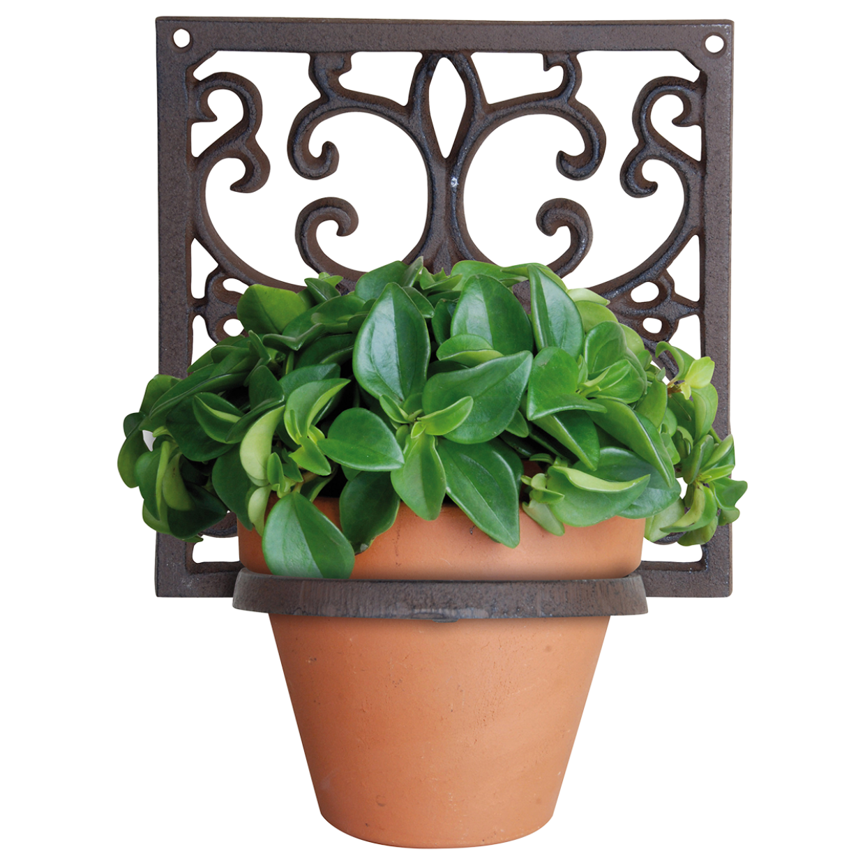 Puriri Lane | Flower Pot Holder | Esschert Design