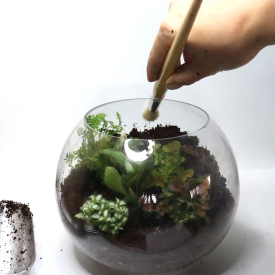 Puriri Lane | Terrarium Brush | Esschert Design