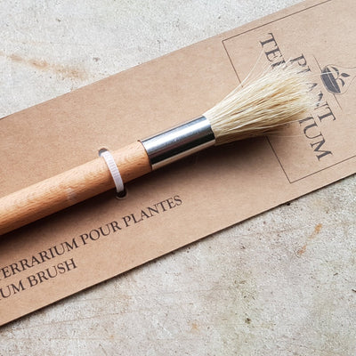 Puriri Lane | Terrarium Brush | Esschert Design