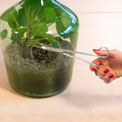 Puriri Lane | Terrarium Scissors | Esschert Design