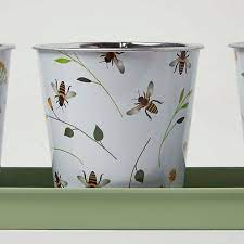 Puriri Lane | Floral Bee Indoor Pots | Set of 3