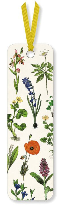 Puriri Lane | Botanical Bookmark | Live Wires