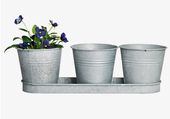 Puriri_Lane_Addenbrooke_Old_Zinc_3_Pots_On_A_Saucer