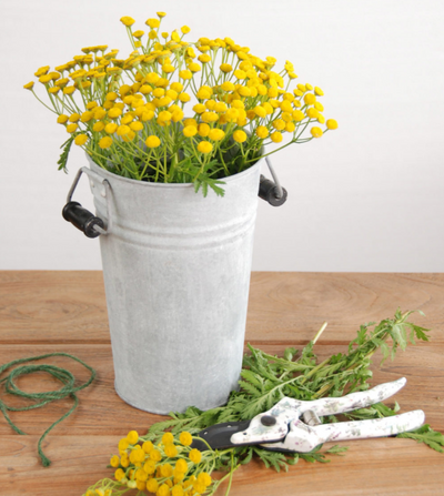 Old Zinc Vase | Tall - Small