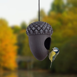 Puriri Lane | Acorn Bird House and Feeder | Parnell & Co.