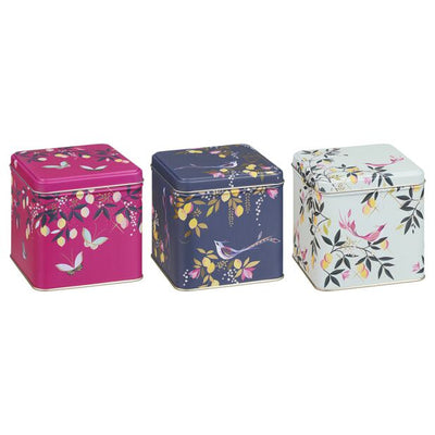Puriri Lane | Set of 3 Square Caddies | Sara Miller
