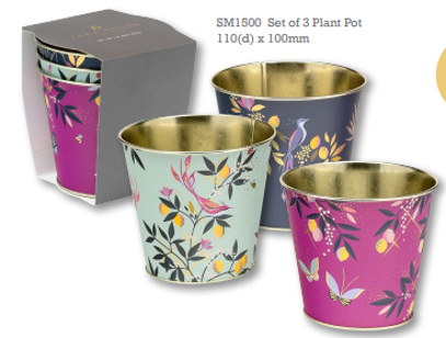 Puriri Lane | Set of 3 Metal Plant Pots | Sara Miller