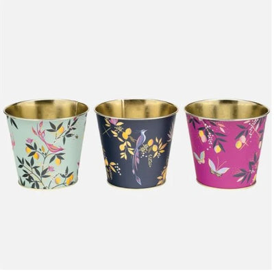 Puriri Lane | Set of 3 Metal Plant Pots | Sara Miller