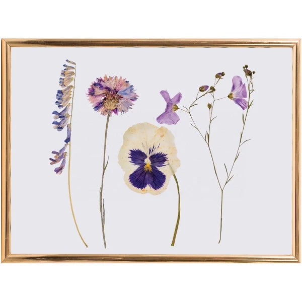 Puriri Lane | Classic Flower Press