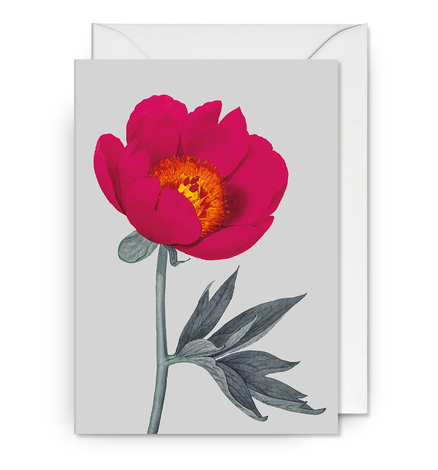 Puriri Lane @ Addenbrooke | Silver in Hope | Royal Botanic Gardens | Kew