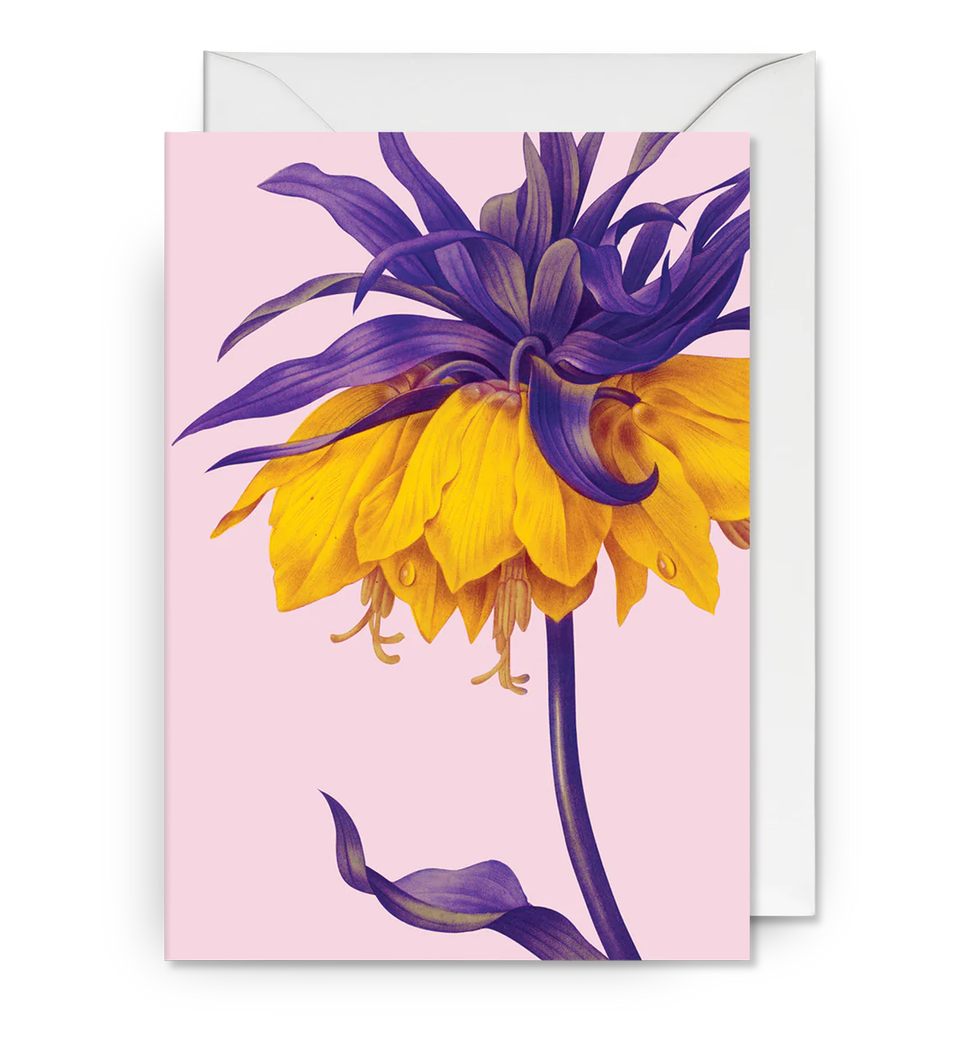 Puriri Lane @ Addenbrooke | Yellow Crown | Royal Botanical Gardens | Kew