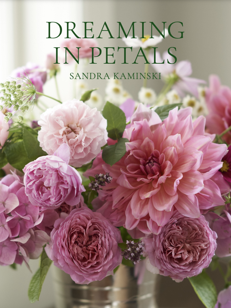 Dreaming In Petals | Sandra Kaminski