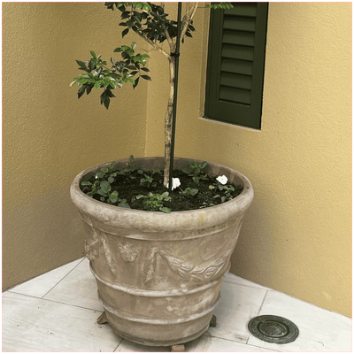 Antique Terracotta Swag Planter Pots | Set Of 4