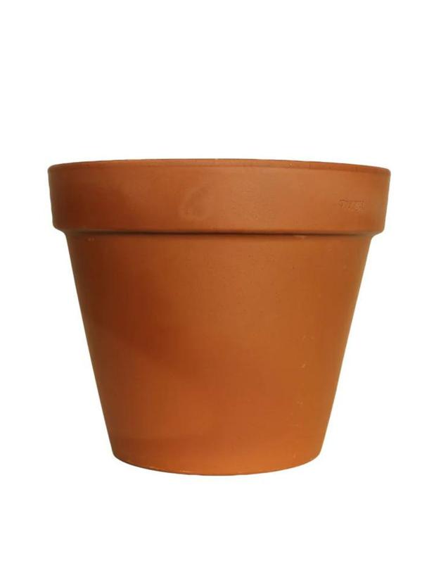 Italian Terracotta Vasi Pots