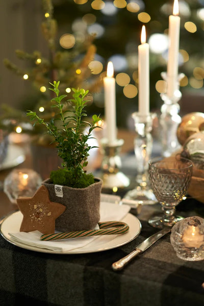 Christmas Dreaming | Sandra Kaminski