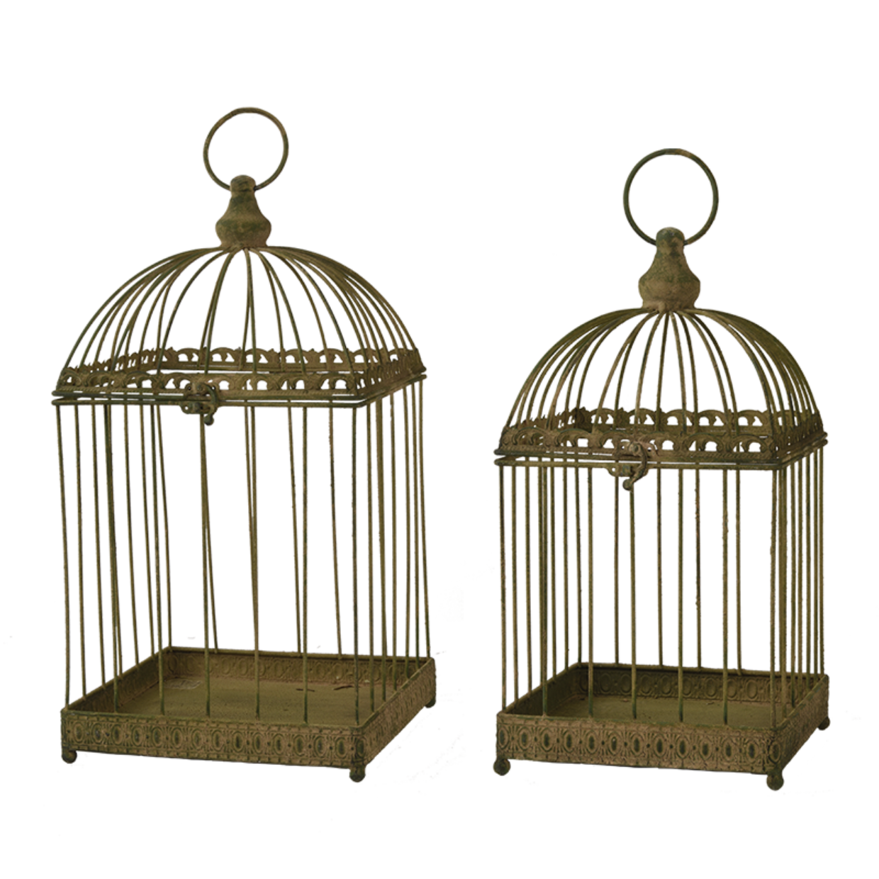 Puriri Lane | Victorian Vintage Birdcage
