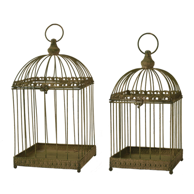 Puriri Lane | Victorian Vintage Birdcage