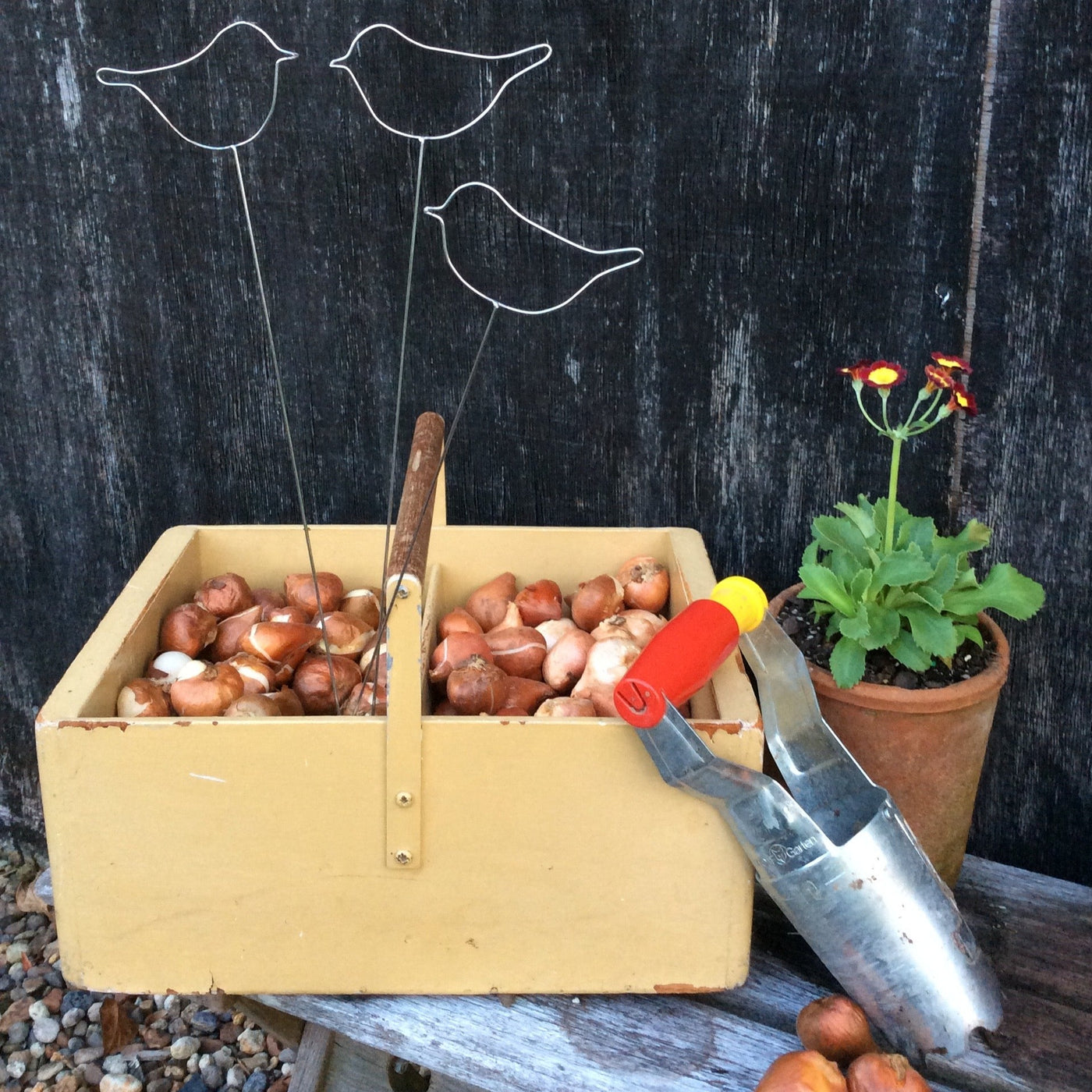 Puriri Lane | Wolfgarten | Bulb Planter