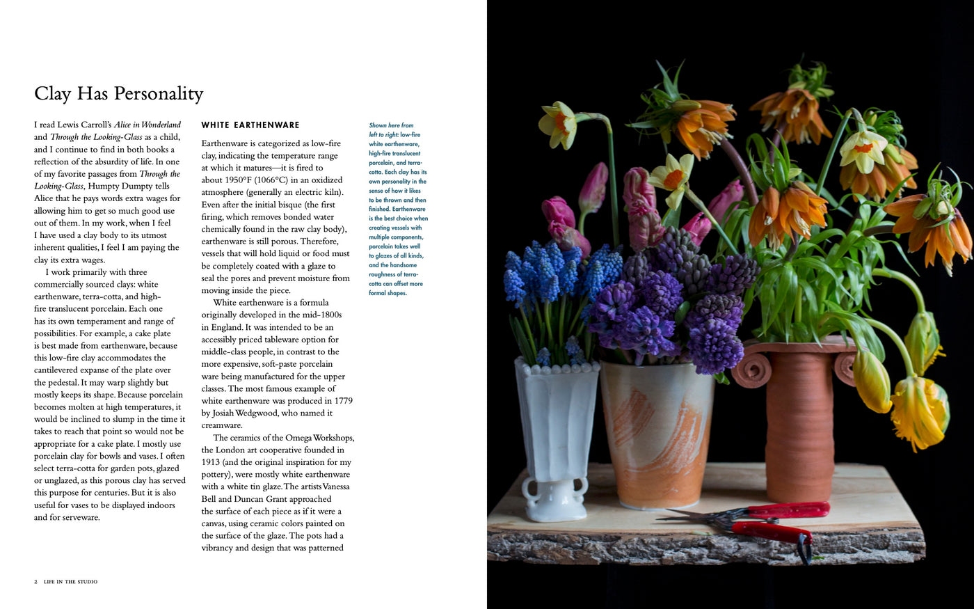 Puriri Lane | Life In The Studio | Frances Palmer