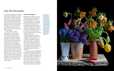 Puriri Lane | Life In The Studio | Frances Palmer