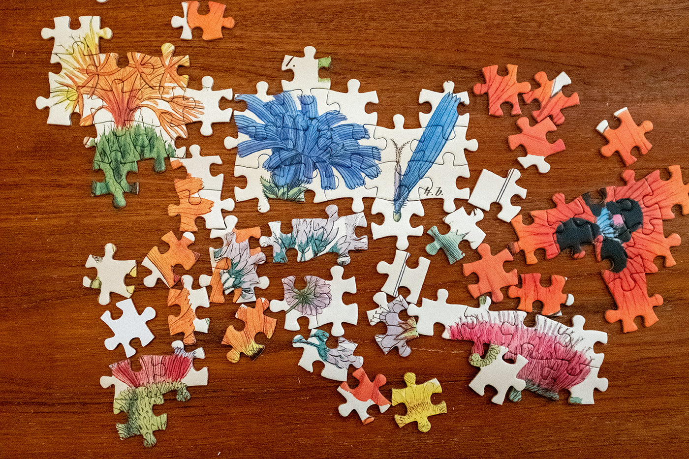 Puriri Lane | Wildflowers | Vintage 1000 piece Jigsaw | Cavallini & Co