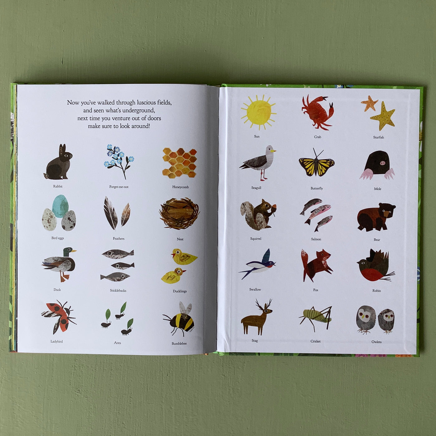 Puriri Lane | A Walk Through Nature | Libby Walden