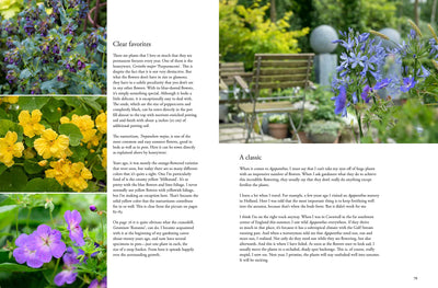 Puriri Lane | Containers In The Garden | Claus Dalby