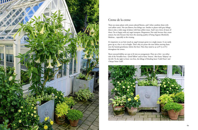 Puriri Lane | Containers In The Garden | Claus Dalby