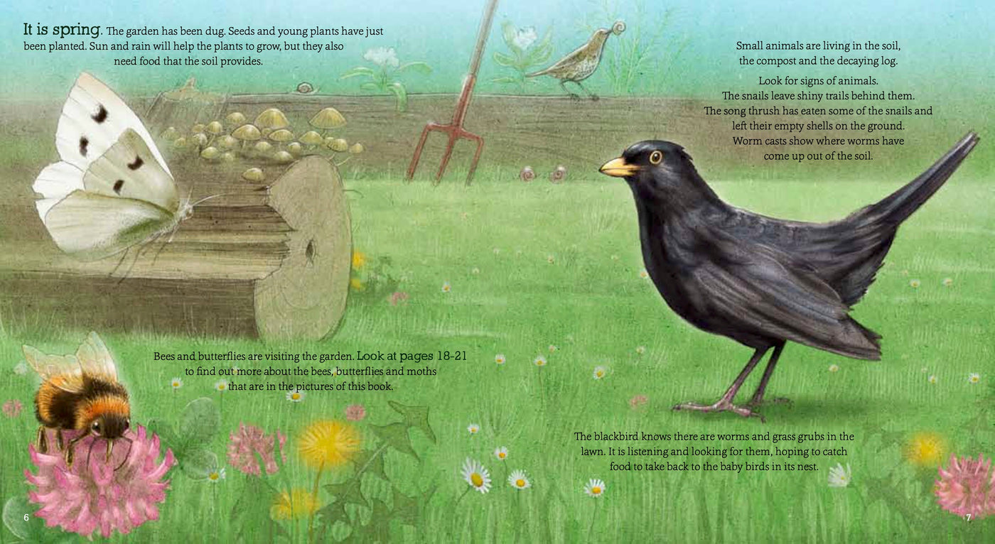 Puriri Lane | In The Garden | Explore & Discover The New Zealand Backyard | GIllian Candler & Ned Barraud