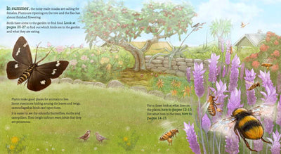 Puriri Lane | In The Garden | Explore & Discover The New Zealand Backyard | GIllian Candler & Ned Barraud