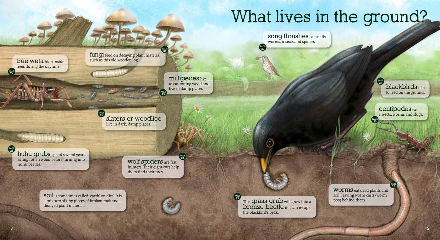 Puriri Lane | In The Garden | Explore & Discover The New Zealand Backyard | GIllian Candler & Ned Barraud