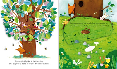 Puriri Lane | A Peep Inside | Animal Homes