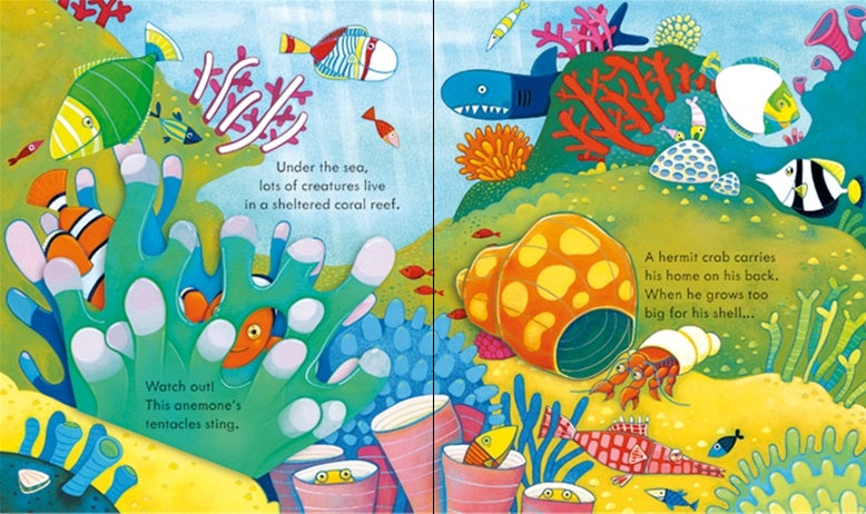 Puriri Lane | A Peep Inside | Animal Homes