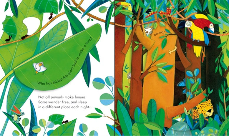 Puriri Lane | A Peep Inside | Animal Homes