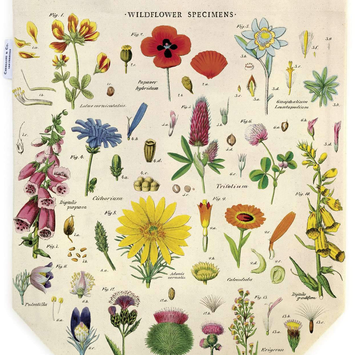 Puriri Lane | Wildflower Vintage Tote Bag | Cavallini & Co.