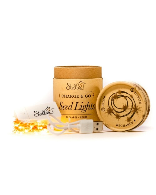 Puriri Lane | Seed Lights | Charge & Go