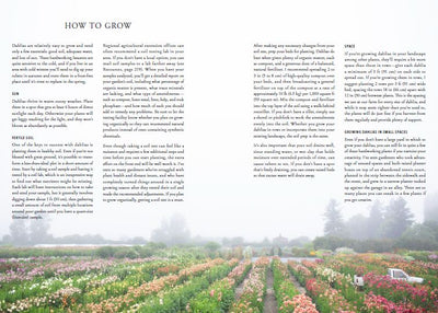 Puriri Lane | Floret Farm's | Discovering Dahlias