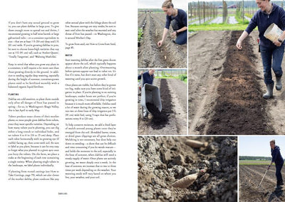 Puriri Lane | Floret Farm's | Discovering Dahlias