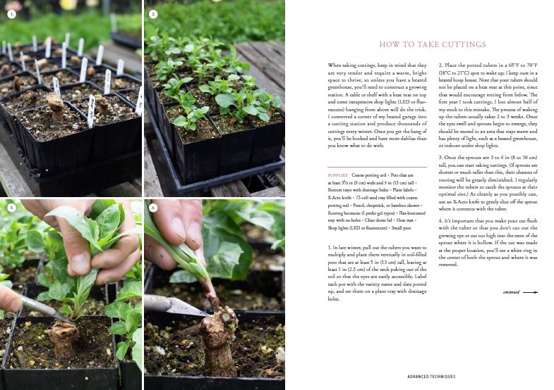 Floret Farm's | Discovering Dahlias | Erin Benzakein | Autographed