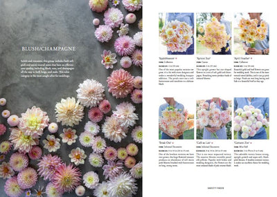 Puriri Lane | Floret Farm's | Discovering Dahlias